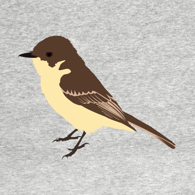 Eastern phoebe by stargatedalek